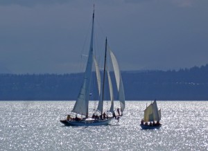 P1140568_alt