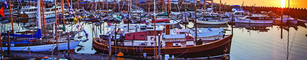 WBF_highlights_banner_web