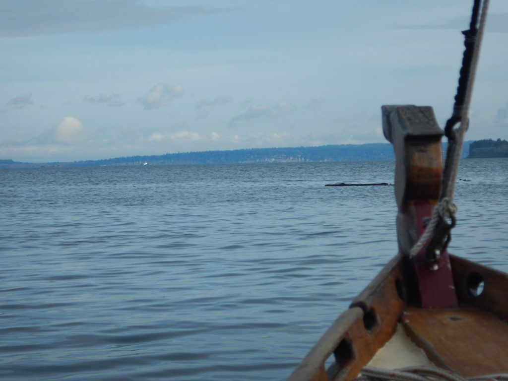Onward bow with King Tide driftwood