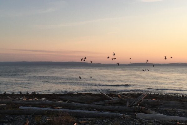 View from Sit Spot at Point Hudson