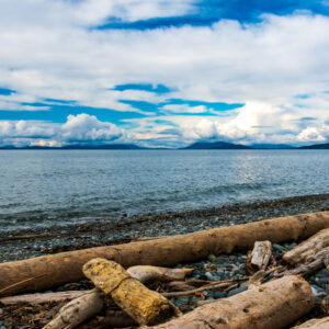 Adobestock 336810818