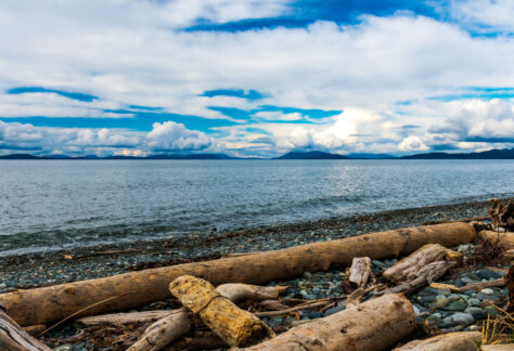 Adobestock 336810818