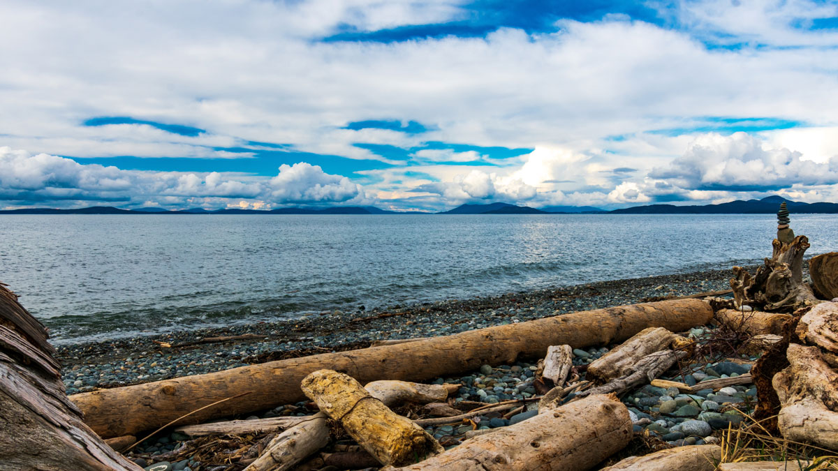 Adobestock 336810818