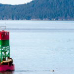 Adobestock 416329501