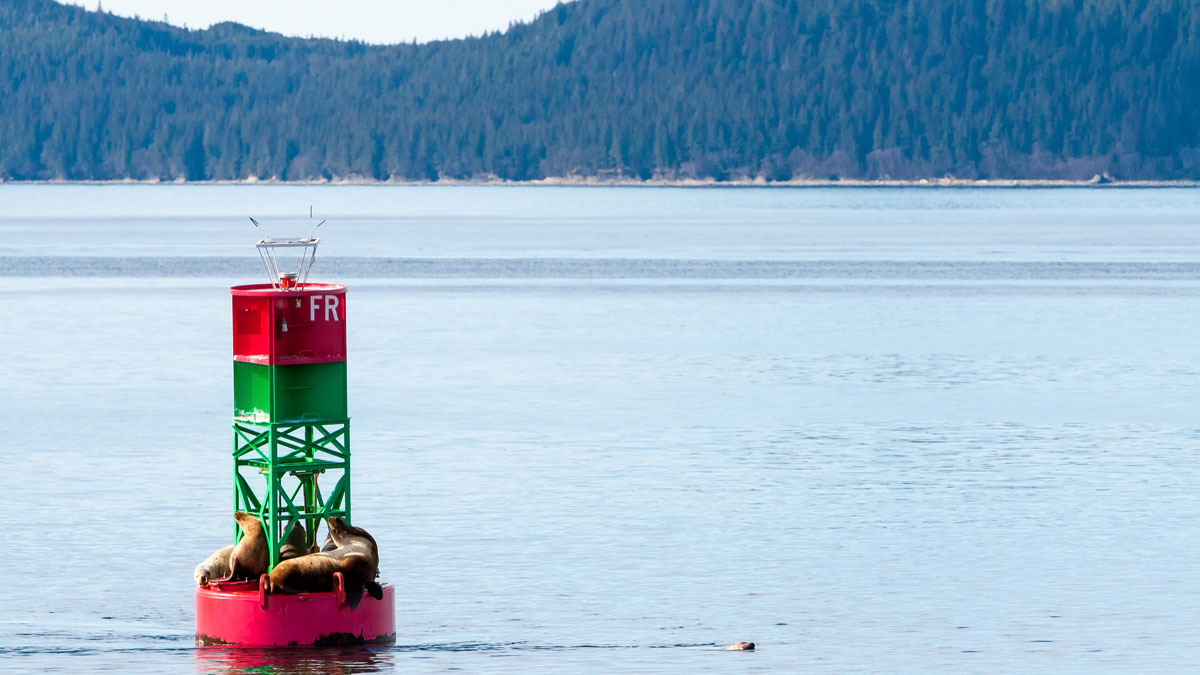 Adobestock 416329501