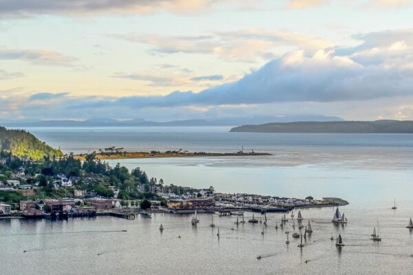 20210607 Racestart Nickreid 2