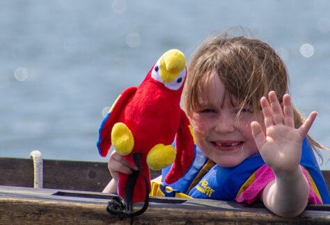 Pirateshalf 24 1200x750