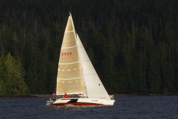 Bowl Of Sloop