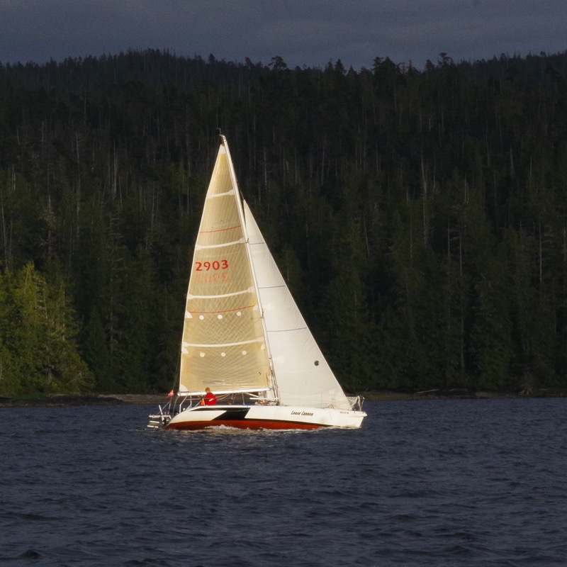 Bowl Of Sloop