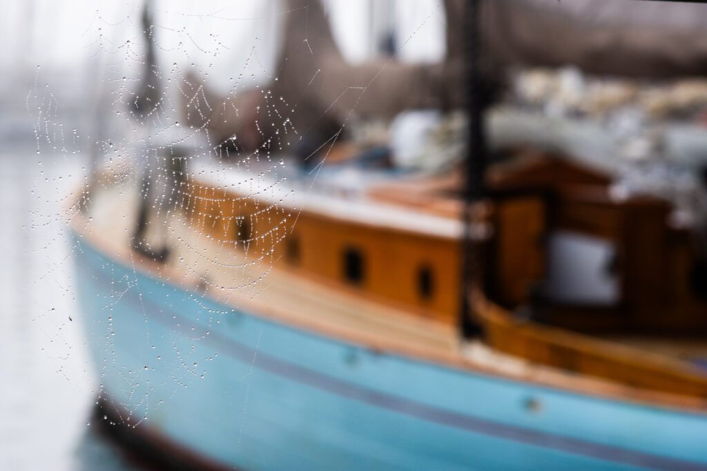 Boat Dew Kbrenner Dsc 2421