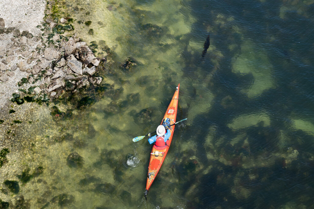 Copy Of Rad 4009oceansmith