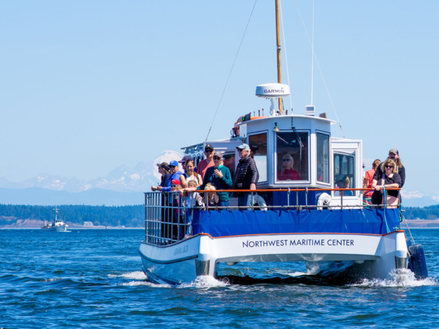 Dsc 5819 (3) Dsc 5819 (3)