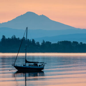 Adobestock 533779570