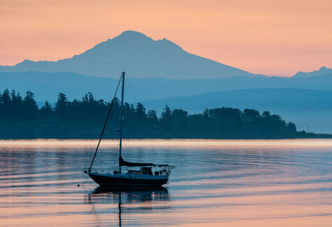 Adobestock 533779570