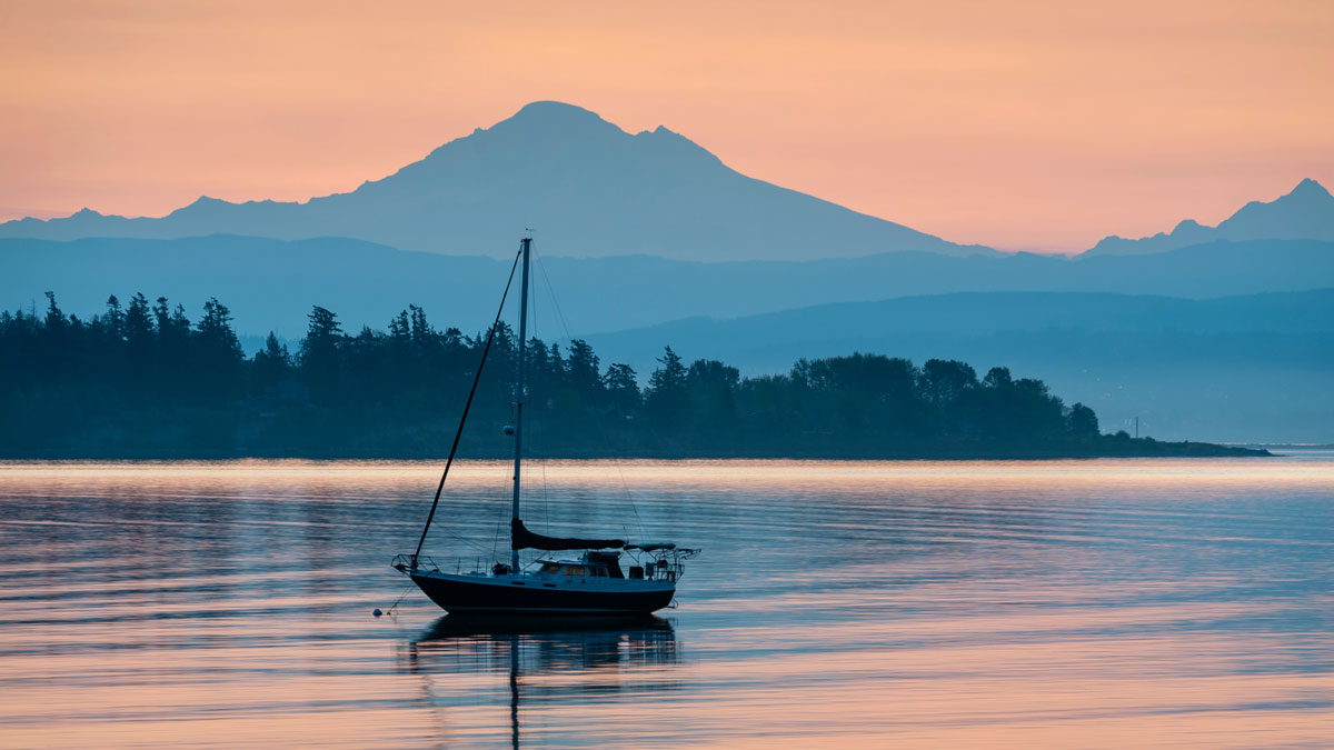 Adobestock 533779570