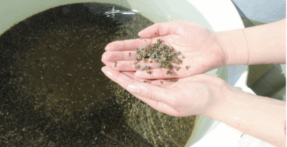 Screenshot 2025 12 16 At 11.44.06 am