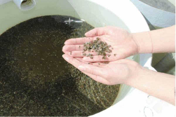 Screenshot 2025 12 16 At 11.44.06 am