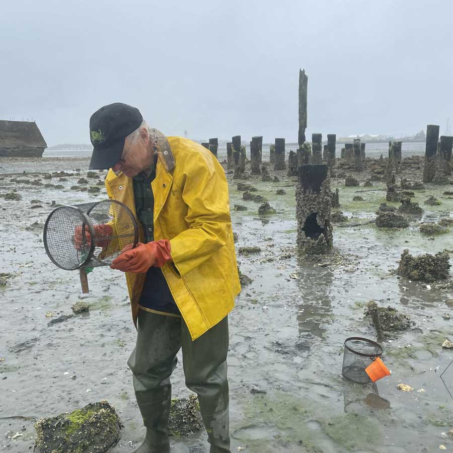 20250423 194948 8a8 Volunteer Pillars