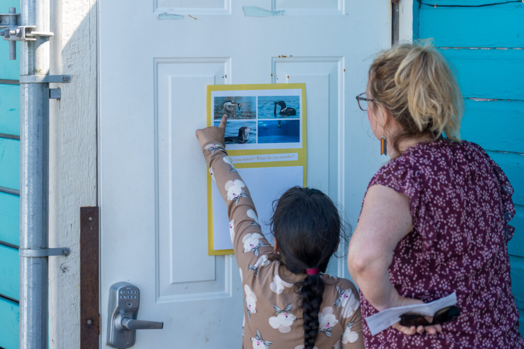 Cbc 8 11 12 25 Ash Elliot 6