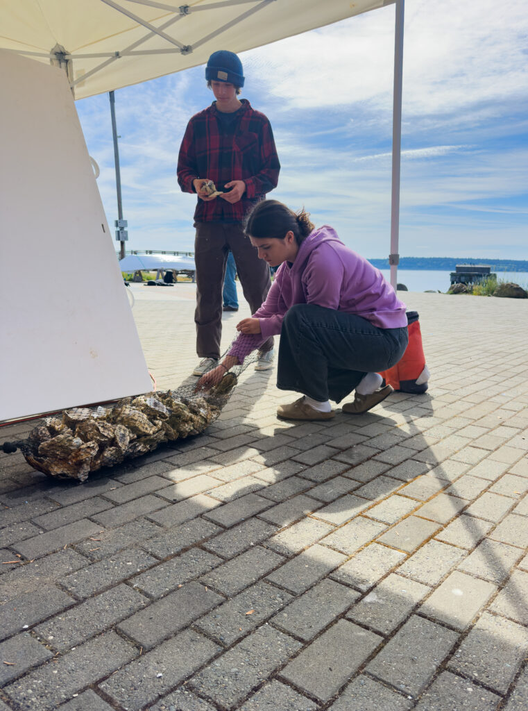 Ptma Oystercount Spring2026 Rb 1