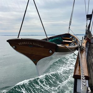 Rebecca Susan 500w